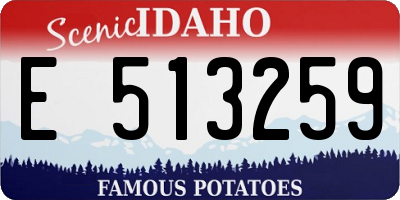 ID license plate E513259