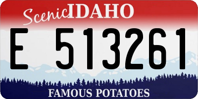 ID license plate E513261