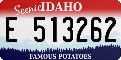 ID license plate E513262