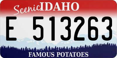 ID license plate E513263