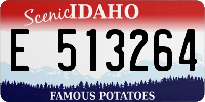 ID license plate E513264