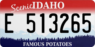ID license plate E513265