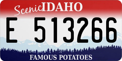 ID license plate E513266