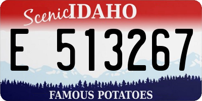 ID license plate E513267