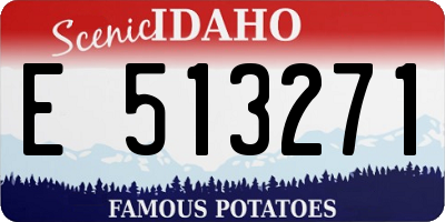 ID license plate E513271