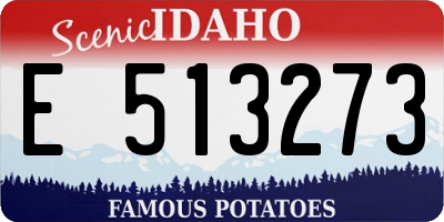 ID license plate E513273