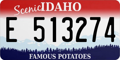ID license plate E513274