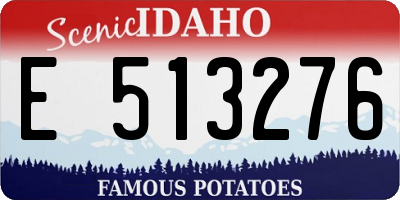 ID license plate E513276