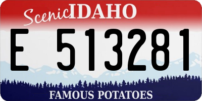 ID license plate E513281