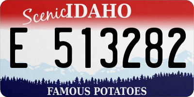 ID license plate E513282