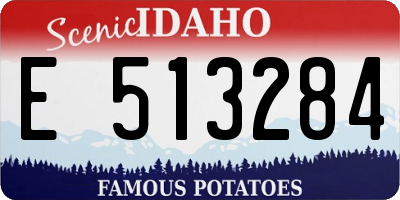 ID license plate E513284