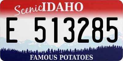 ID license plate E513285