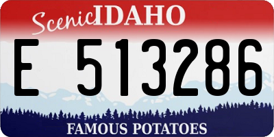 ID license plate E513286
