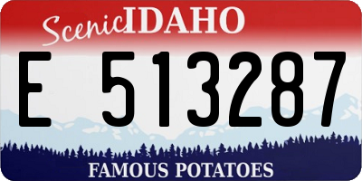 ID license plate E513287