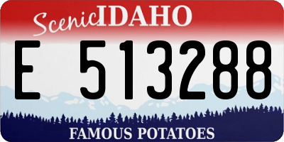 ID license plate E513288