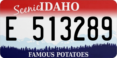 ID license plate E513289