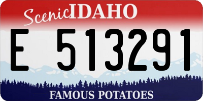 ID license plate E513291