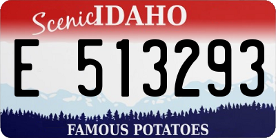 ID license plate E513293