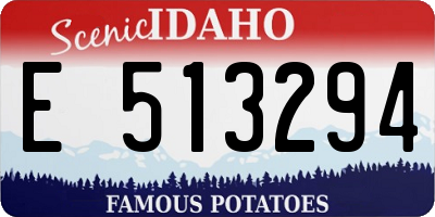 ID license plate E513294