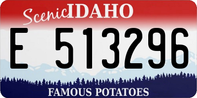 ID license plate E513296