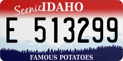 ID license plate E513299
