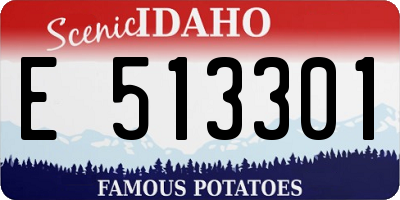 ID license plate E513301