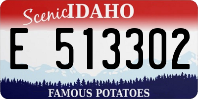 ID license plate E513302