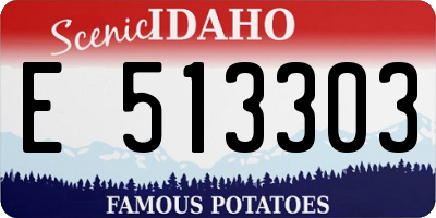 ID license plate E513303