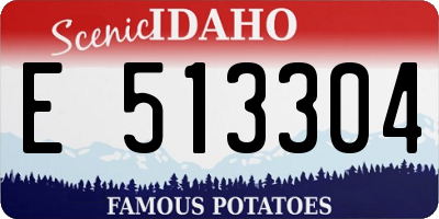 ID license plate E513304