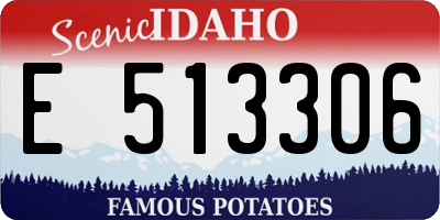 ID license plate E513306