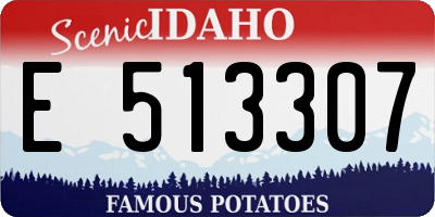 ID license plate E513307