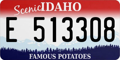 ID license plate E513308