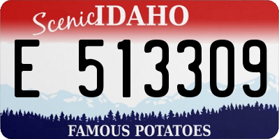 ID license plate E513309
