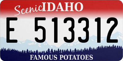 ID license plate E513312