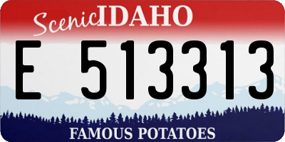ID license plate E513313
