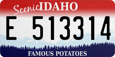 ID license plate E513314