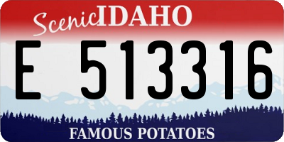ID license plate E513316