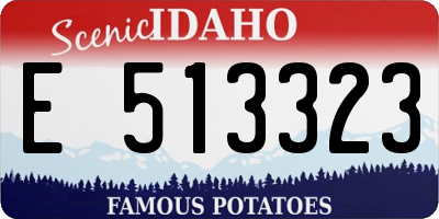 ID license plate E513323