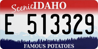 ID license plate E513329