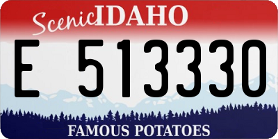 ID license plate E513330