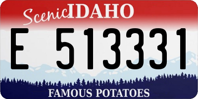 ID license plate E513331
