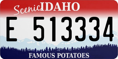 ID license plate E513334