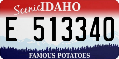 ID license plate E513340