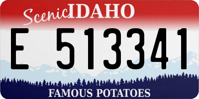 ID license plate E513341