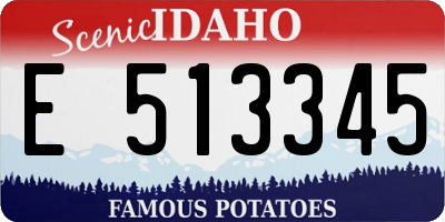 ID license plate E513345