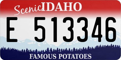 ID license plate E513346