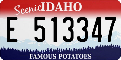 ID license plate E513347