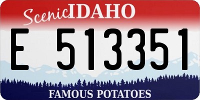 ID license plate E513351