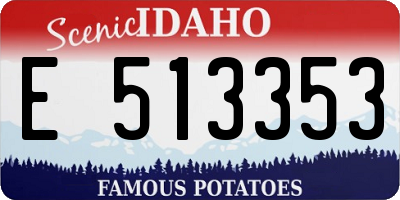 ID license plate E513353