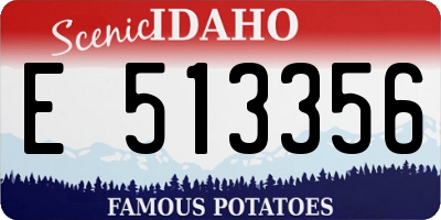 ID license plate E513356